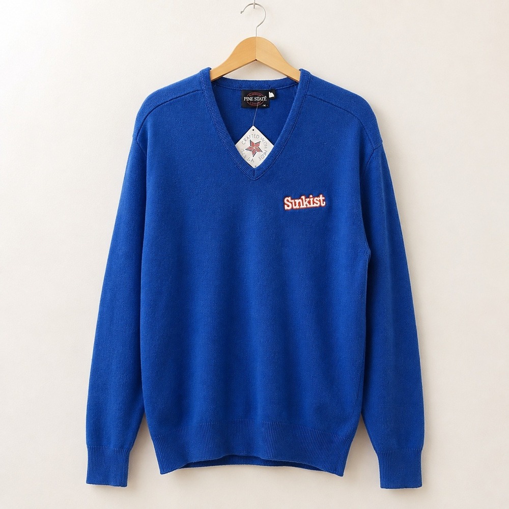 Pine State Vintage 90s Sunkist V Neck Sweater Mens XL Retro Gorpcore Indie Blue